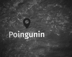 Poingunin location